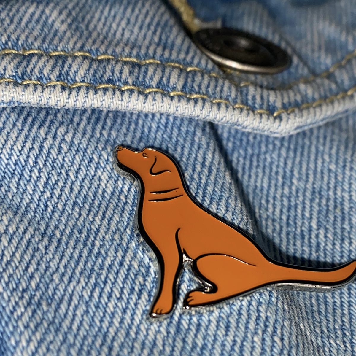 Fox Red Labrador Pin on Jacket