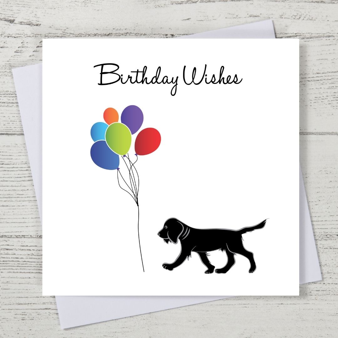 Black Spaniel Birthday Card