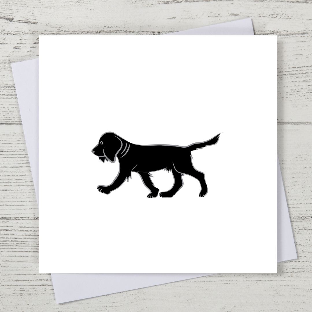 Black Spaniel Card