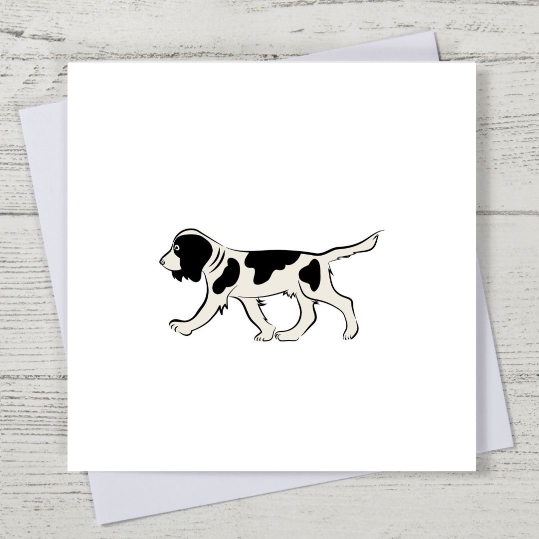 Black Springer Spaniel Card