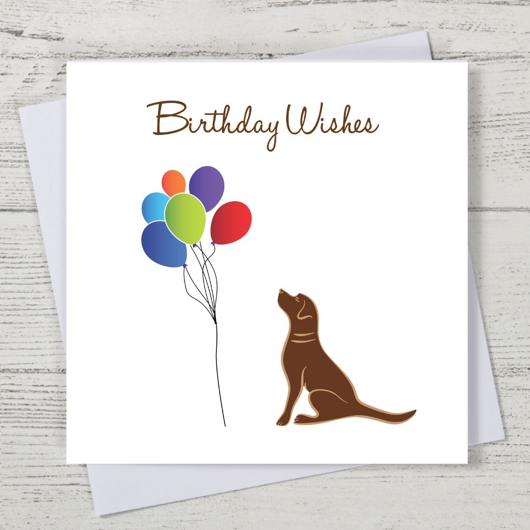 Chocolate Labrador Birthday Card