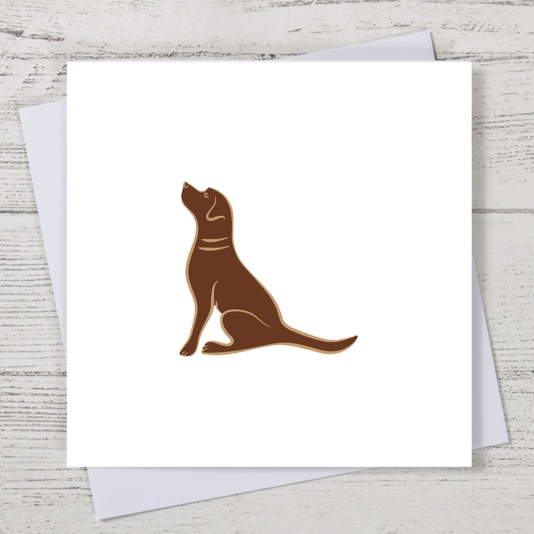 Chocolate Labrador Card
