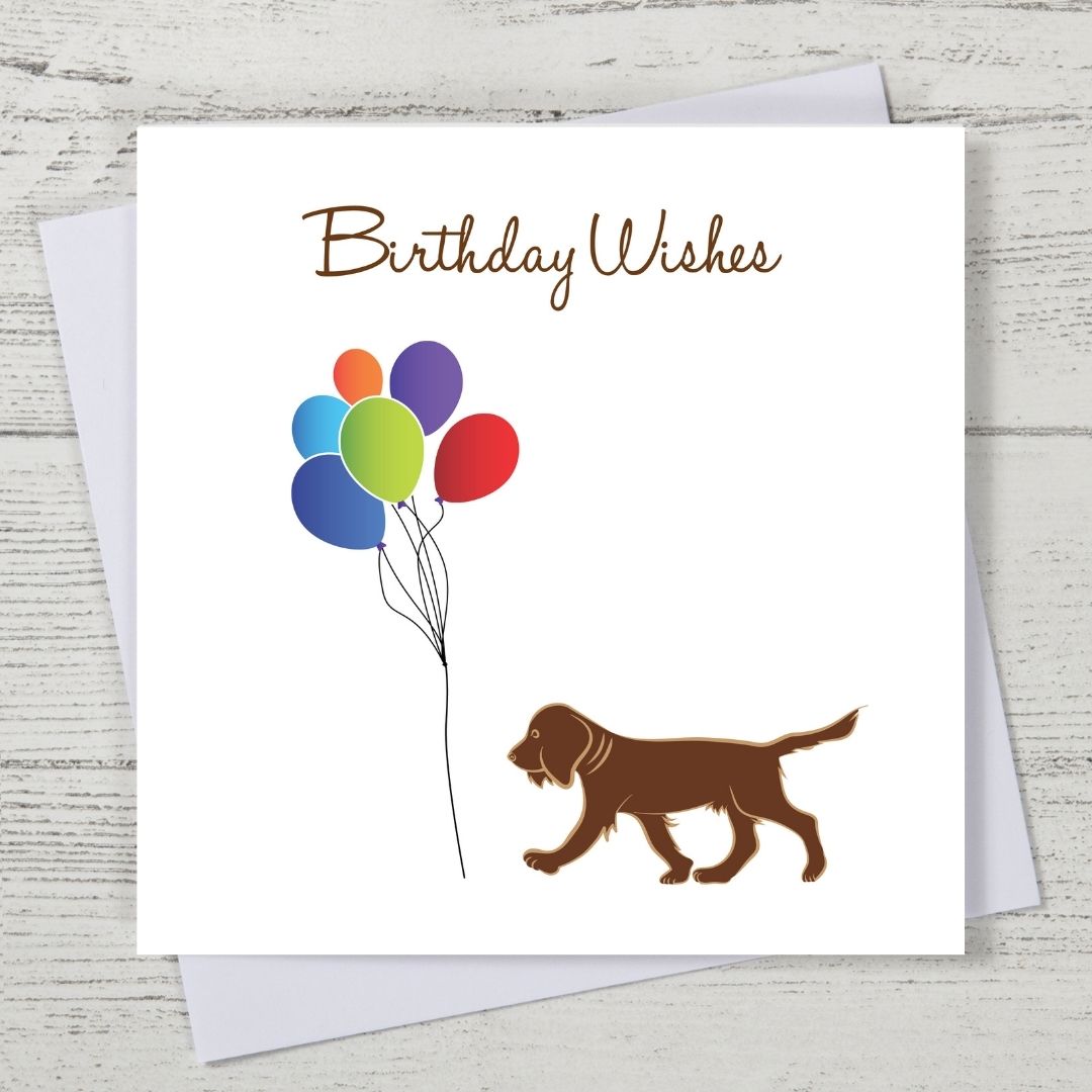 Chocolate Spaniel Birthday Card