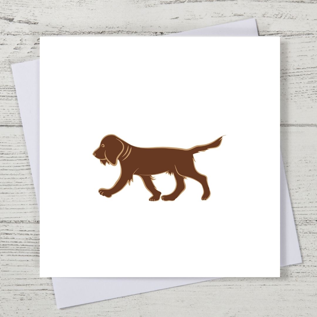 Chocolate Spaniel Card