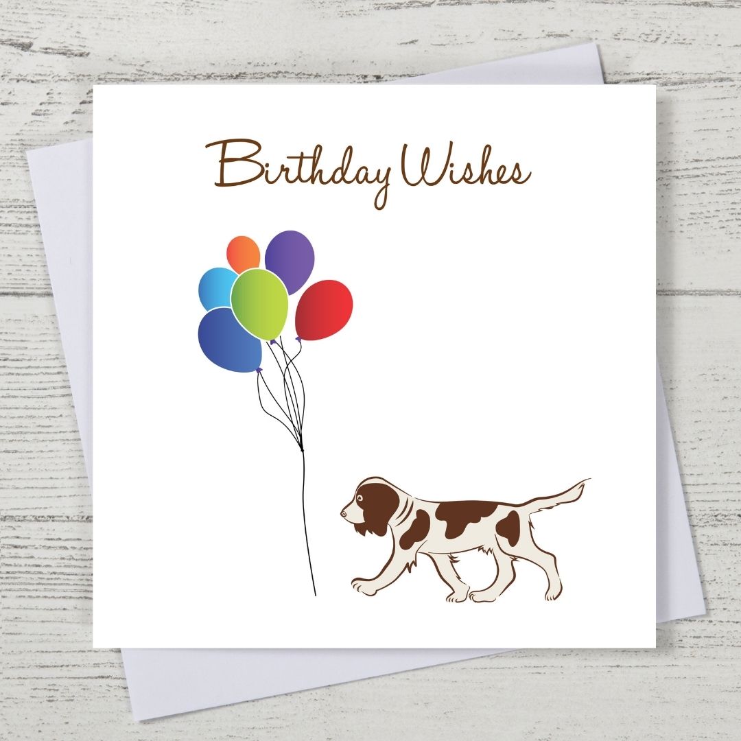 Liver Springer Spaniel Birthday Card
