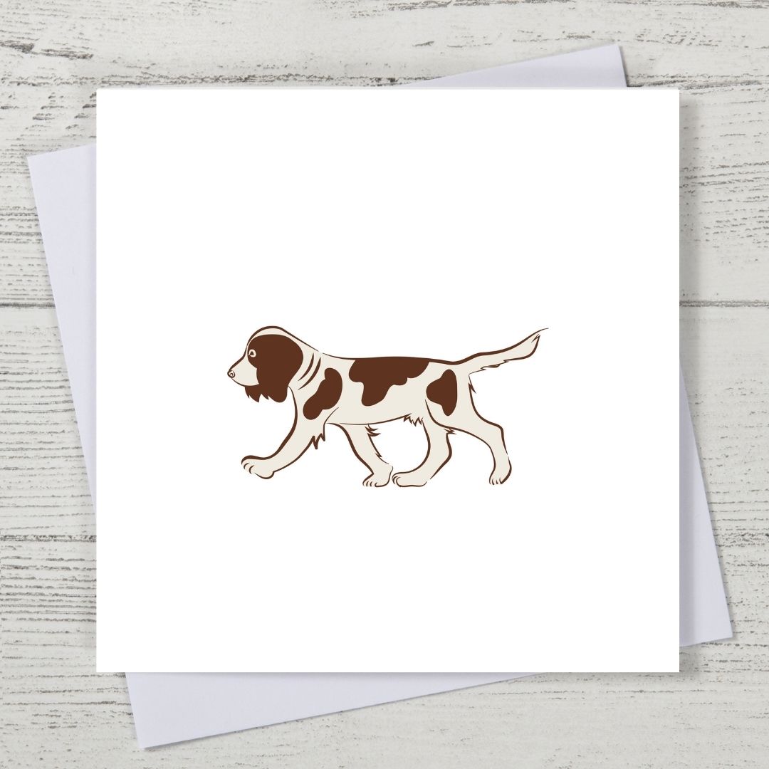 Liver Springer Spaniel Card