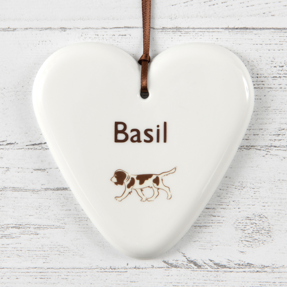 Liver Springer Spaniel